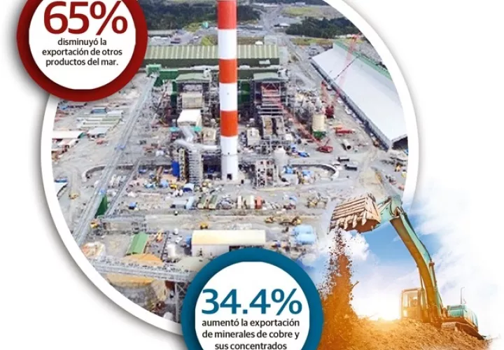 Solo la exportación de minerales de cobre y sus concentrados registró la suma de mil 065 millones 593 mil dólares, mientras que el banano reportó $151 millones 331 mil durante el 2020.