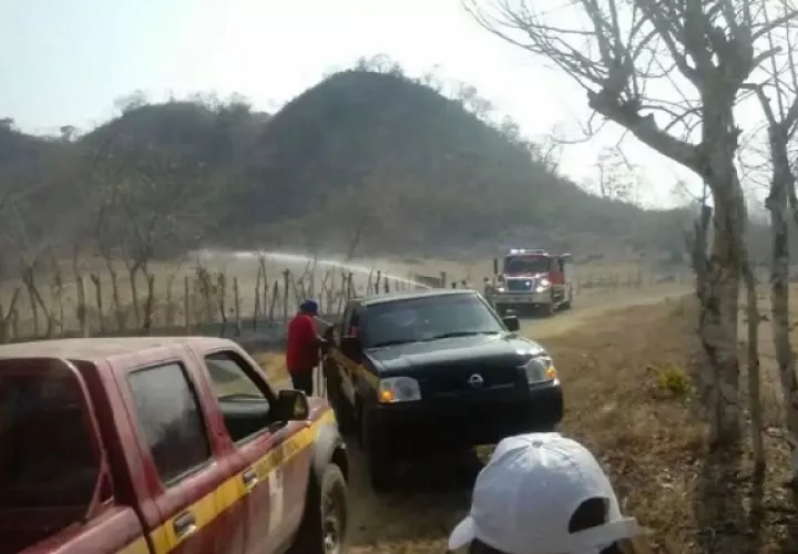 Los últimos incendios forestales en plantaciones de caña y por lo cual muchos moradores se vieron afectados, están siendo investigados por la vía administrativa.