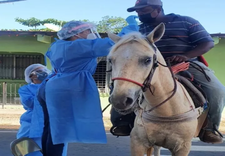 A pie, en auto y hasta a caballo llegan a los puestos de Hisopado Express en el distrito de Parita. 