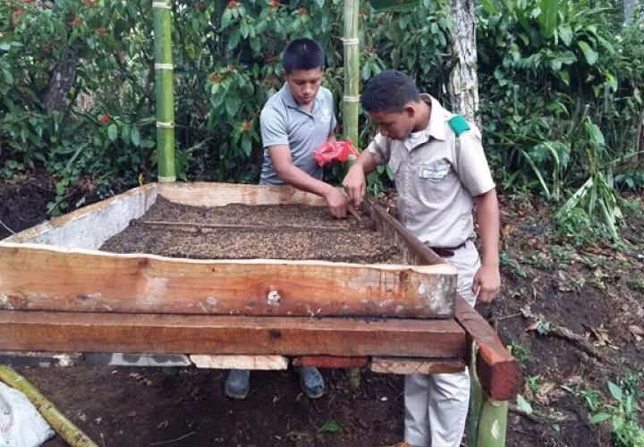  IPTA Monte Lirio fue seleccionado para este proyecto por pertenecer a una de las áreas más afectadas por los efectos indirectos de los huracanes Iota y ETA. Foto cortesía MiAmbiente