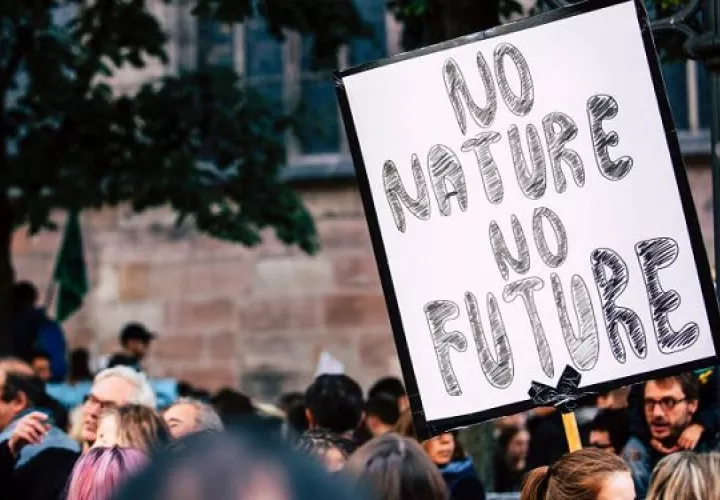 Se buscan acciones climáticas. Foto: Ilustrativa / Pexels