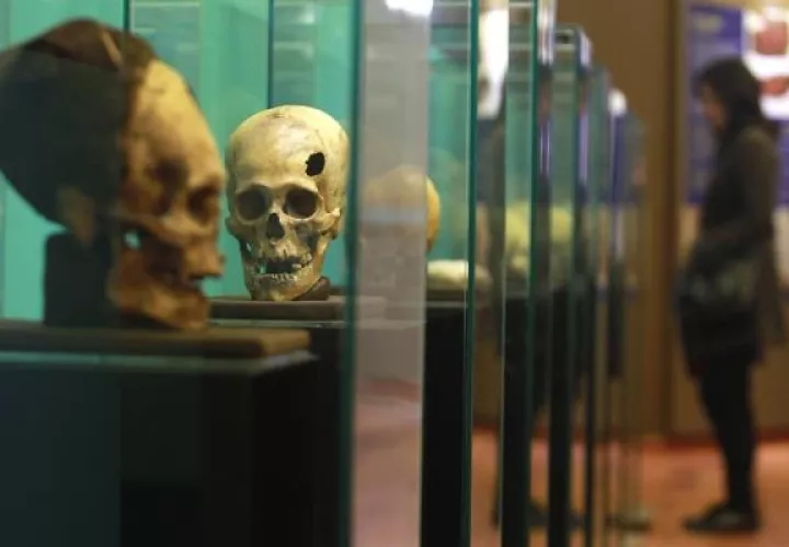 Antropología e Historia de Lima (Perú).