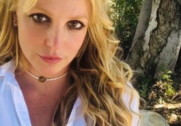 Todo indica que la trama se va a concentrar en la batalla legal que tiene Britney Spears. Foto: Instagram
