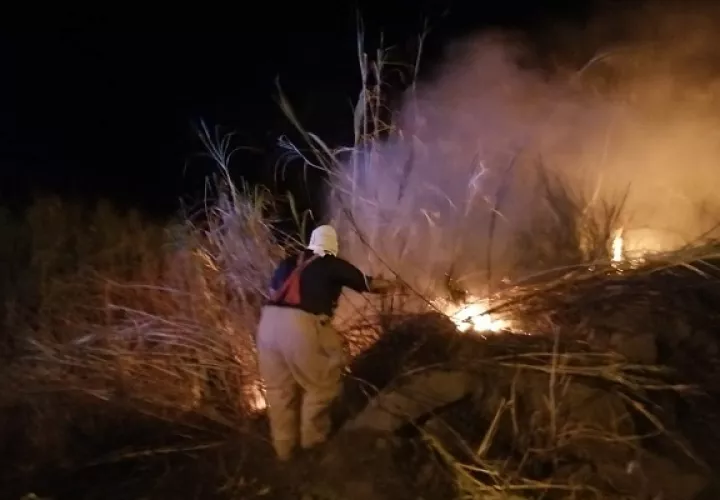 Para mediados de febrero, un grupo de cazadores de iguanas causaron un Imave, de gran magnitud en el área de Espavé de Chame, el cual puso en riesgo la red eléctrica nacional.