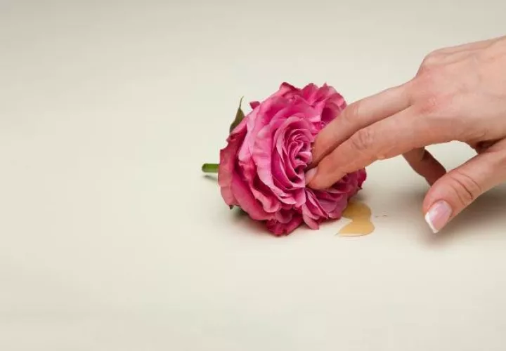 Podría originar culpa o vergüenza para quienes ya lo hacen.  Ilustrativa / https://letstalksex.net/free-erotic-photos/