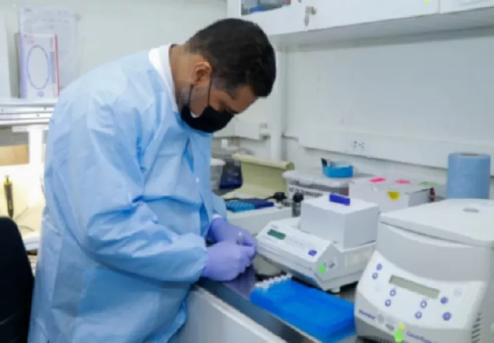 El análisis hecho muy minuciosamente, logró secuenciar el primer y segundo virus.