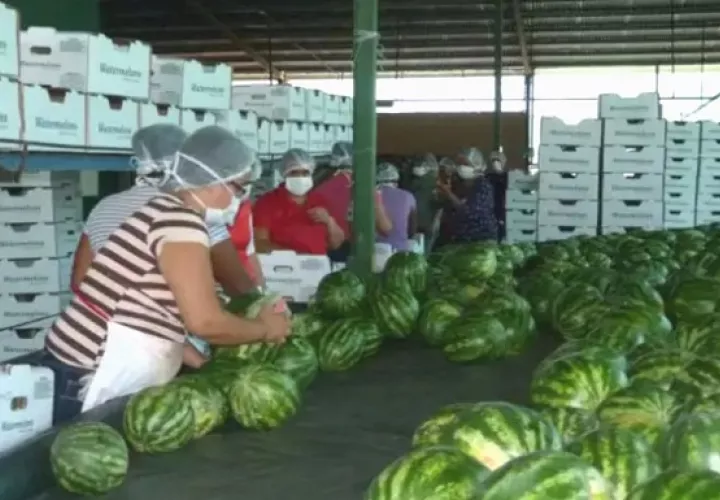 La mayor producción se da en Parita.