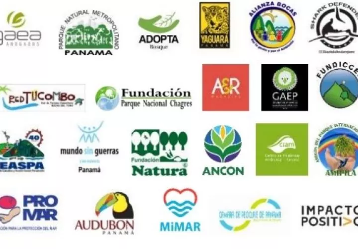 Organizaciones del sector ambiental.