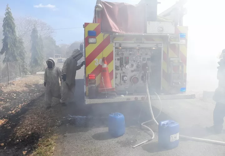 Bomberos prendieron pacas y hojas secas para controlar a las abejas con el humo. Foto: Thays Domínguez