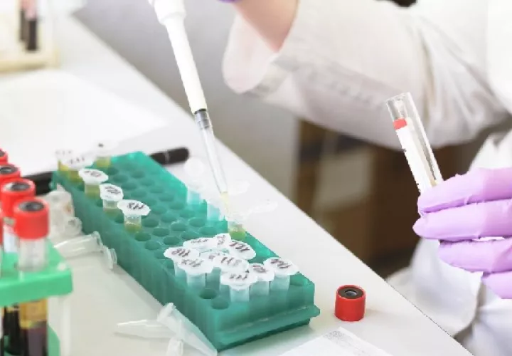 ciencia_pixabaypa.jpg