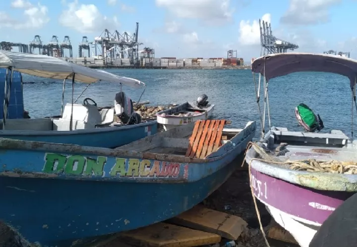 En el muelle eventualmente se hacen trabajos de dragado y ello puede provocar los oleajes.