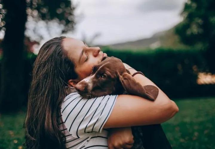 La muerte de una mascota puede doler tanto como la pérdida de un familiar cercano o amigo, para algunos hasta más. Foto: Ilustrativa / Pexels