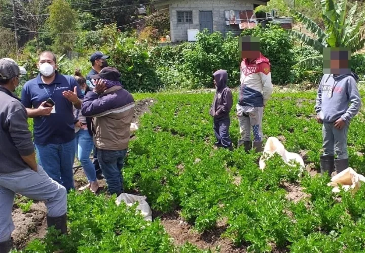 A los padres y al encargado de la finca se les orientó sobre la prohibición del trabajo infantil. Foto: José Vásquez