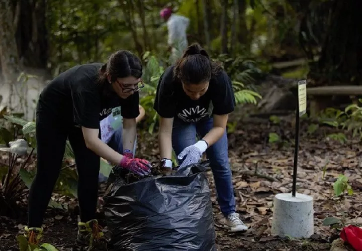Una buena acción puede ser recoger basura.  Foto: Cortesía