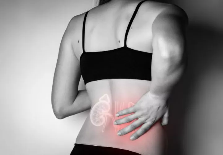 La  presión arterial elevada y la diabetes mellitus producen casi un 50% de daño en el riñón.