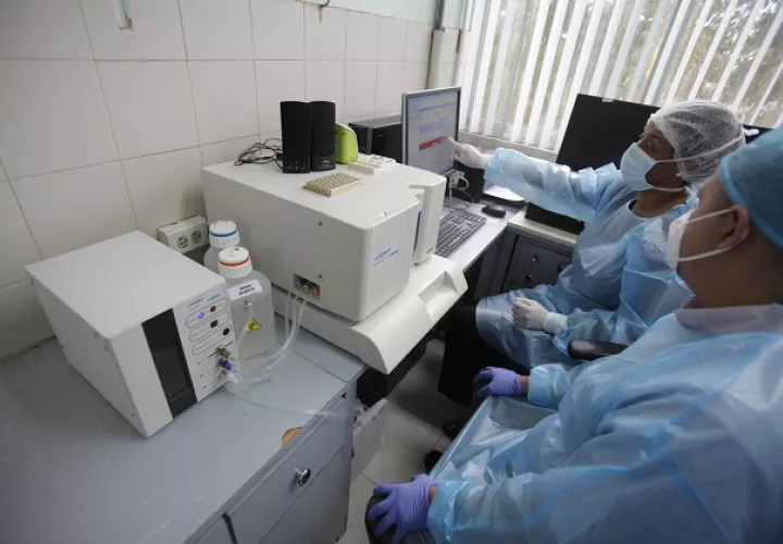 El punto más valioso de esta investigación es la creación de una base de datos denominada "Proyecto Panamá Dono". Foto: EFE