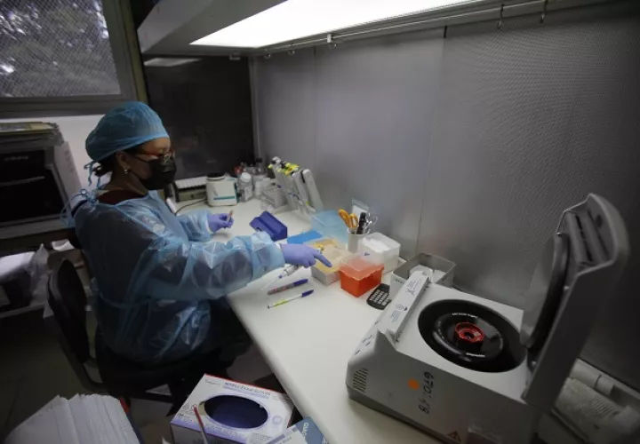Investigadores panameños trabajan en laboratorio en un estudio genético, uno de los primeros de su tipo en Centroamérica, que ayuda al éxito de los trasplantes de órganos. Foto: EFE