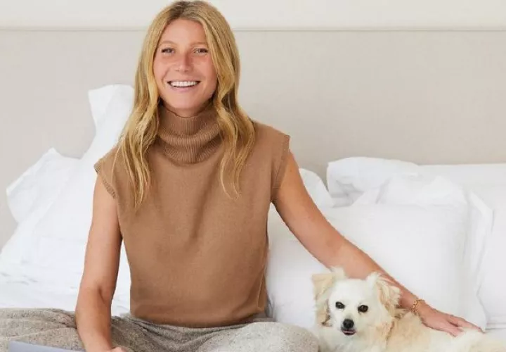 El año pasado Netflix estrenó 'The Goop Lab', documental basado en la vida alternativa que promueve Gwyneth Paltrow. Instagram