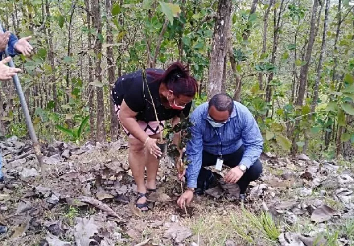 Julián González, hijo del profesor Norato, junto a la directora regional de Panamá Norte, Damaris Herrera, sembraron un árbol.  Foto de cortesía