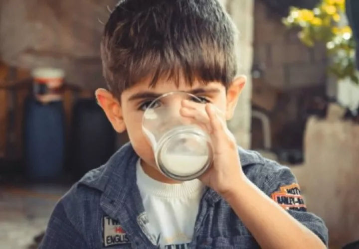 La leche y su inclusión en los programas de alimentación escolar. Foto: Ilustrativa / Pixabay