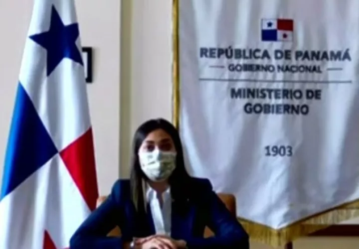La sustentación del proyecto por la ministra Tewaney se realizó de manera virtual. Internet