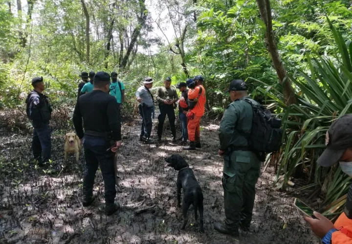 Personal del Sinaproc, utilizando una camilla de rescate, envolvió el cadáver y lo sacó del área. Foto: Diómedes Sánchez 