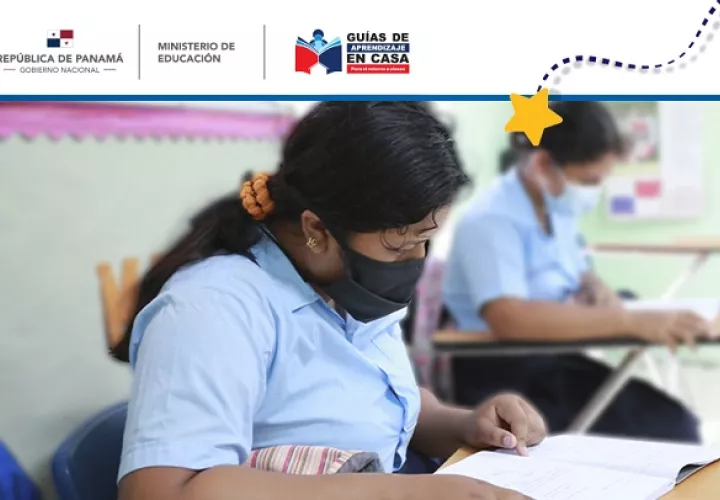 Se puede acceder desde la página web del Meduca.