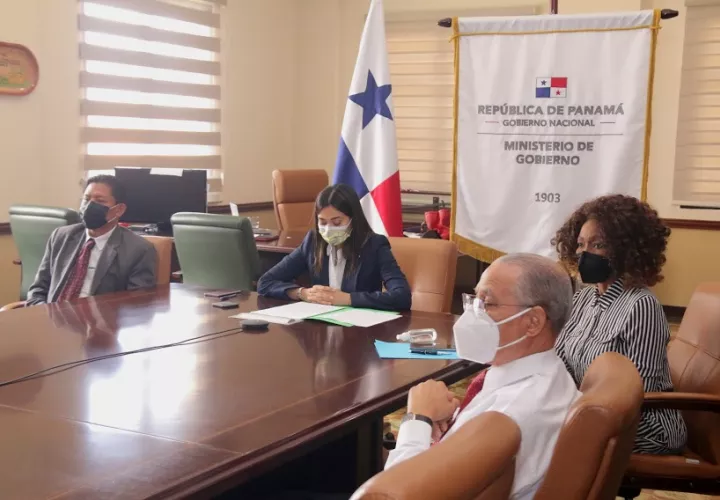 La ministra de Gobierno, Janaina Tewaney Mencomo, presentó el proyecto de ley. 