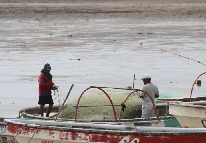 Este sería el segundo intento de los pescadores artesanales de esta región del país para lograr consolidarse en una asociación.