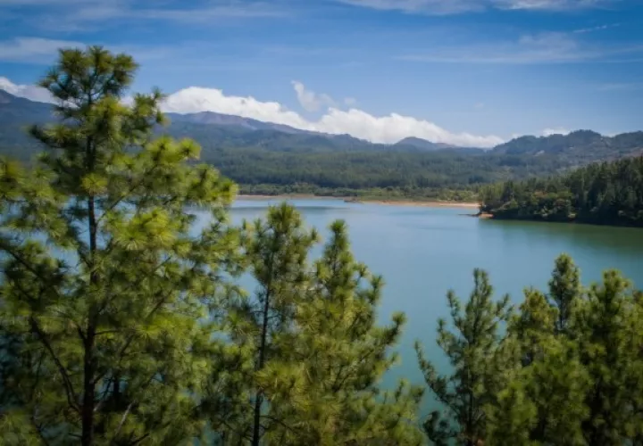 Panamá es de un 65.4%, donde el 32.5% pertenece a otras tierras boscosas y 2.1% a cuerpos de aguas continentales.