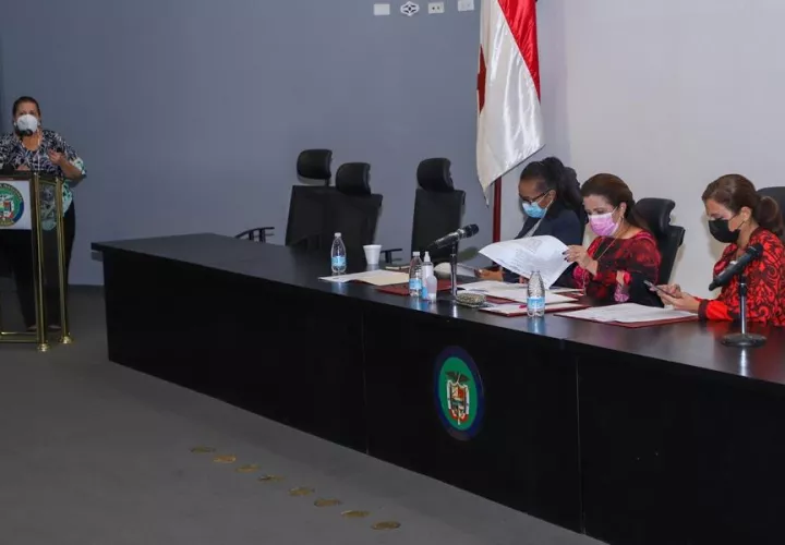 Comisión de la Mujer de la Asamblea Nacional