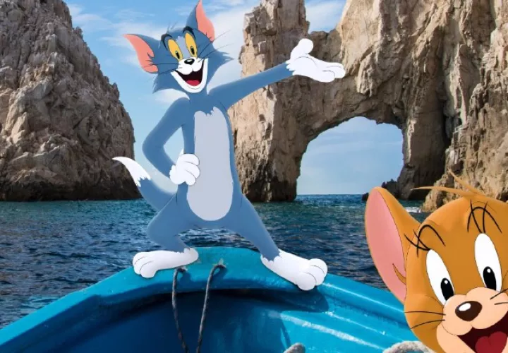 'Tom y Jerry'. Internet