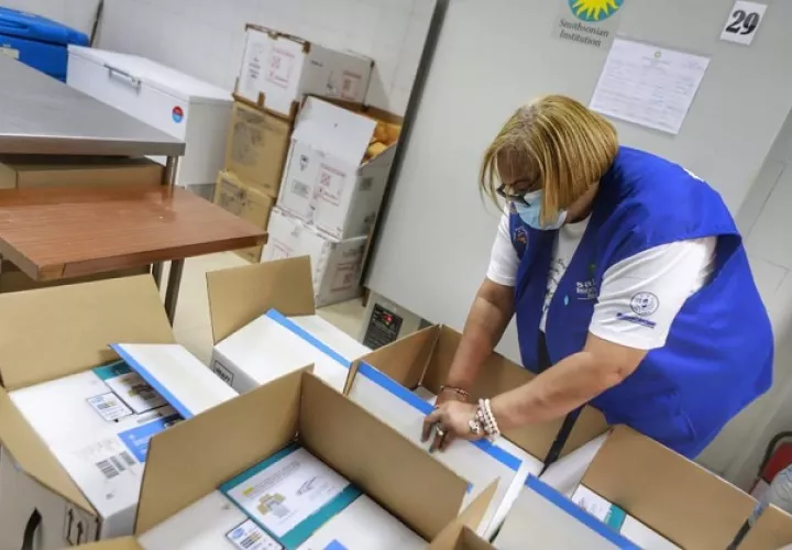 Panamá recibió 70,200 dosis de la vacuna de Pfizer la noche de ayer, martes 23 de marzo. Foto cortesía Presidencia de Panamá
