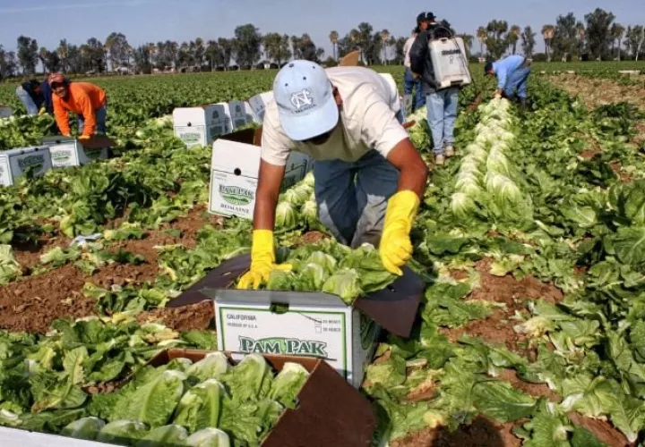 Buscan fortalecer a pequeños emprendedores pecuarios, agrícolas. EFE