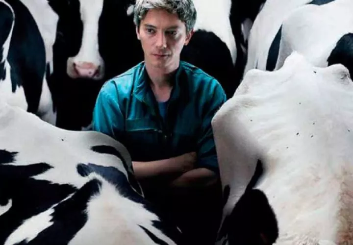 Ofrecerán un Cine-Debate sobre la película francesa: 'Petit Paysan'.  Internet
