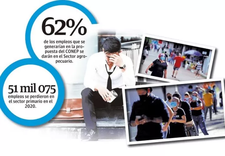 El sector primario que en agosto 2019 representaban 284 mil 064 empleos (casi 15% de los trabajadores del país), 77 mil 842 (27%) eran asalariados del sector privado.