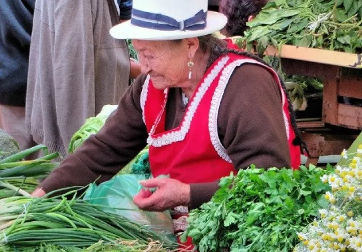 Es importante reducir la brecha de género que afectan a las mujeres rurales, urbanas, indígenas y afrodescendientes. Foto: Ilustrativa / Pexels