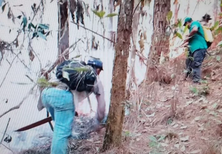 Tras varias horas de trabajo, se logró extinguir el incendio. Foto: Thays Domínguez 