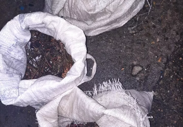 El operativo fue realizado por unidades de la Policía Nacional. 