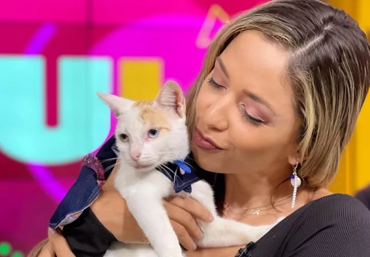Marelissa Him y la gata que adoptó. Instagram/@jeloutvn