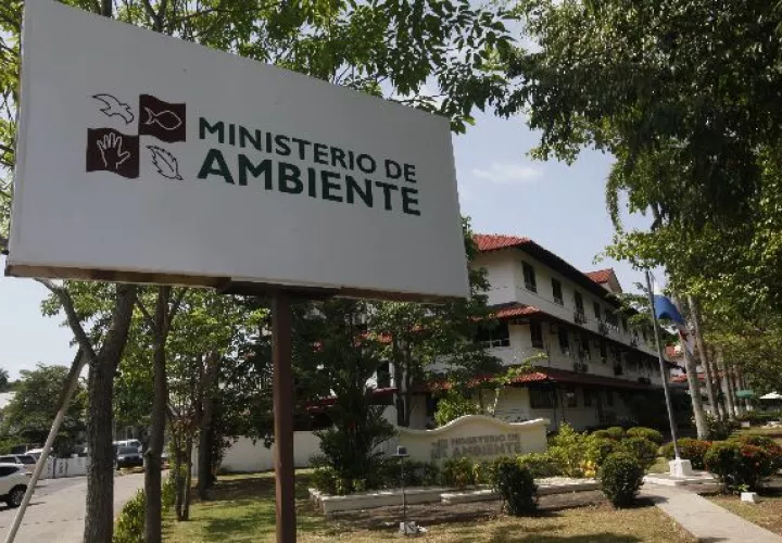 El cargo lo asumió desde el 1 abril.