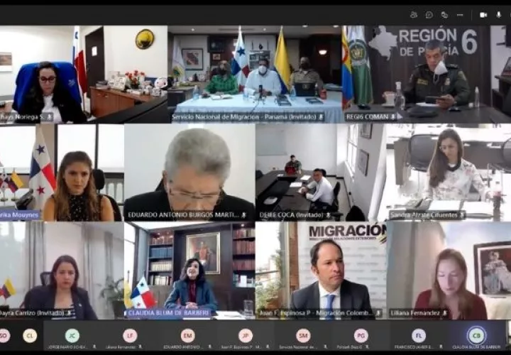 La propuesta fue realizada en un encuentro virtual.