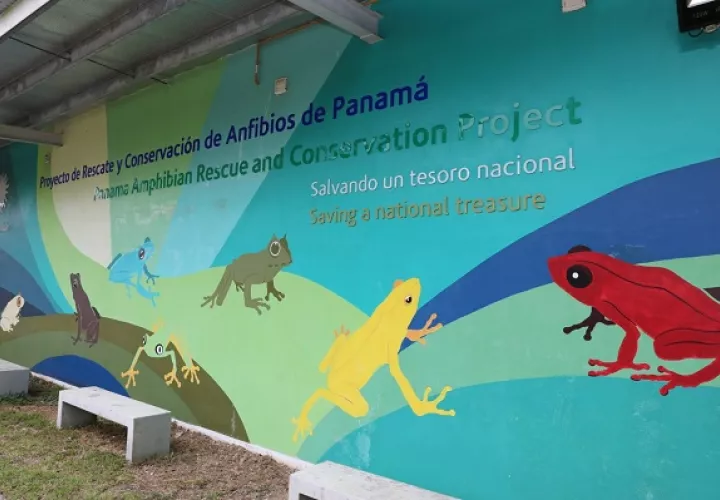Esta iniciativa se desarrolla desde 2019.