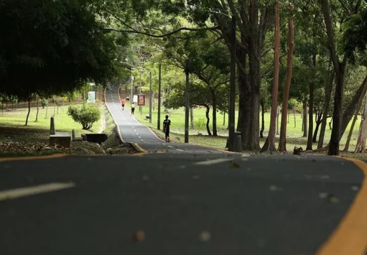  La exdiputada Mery Alfaro se encontraba en el Parque Omar. 
