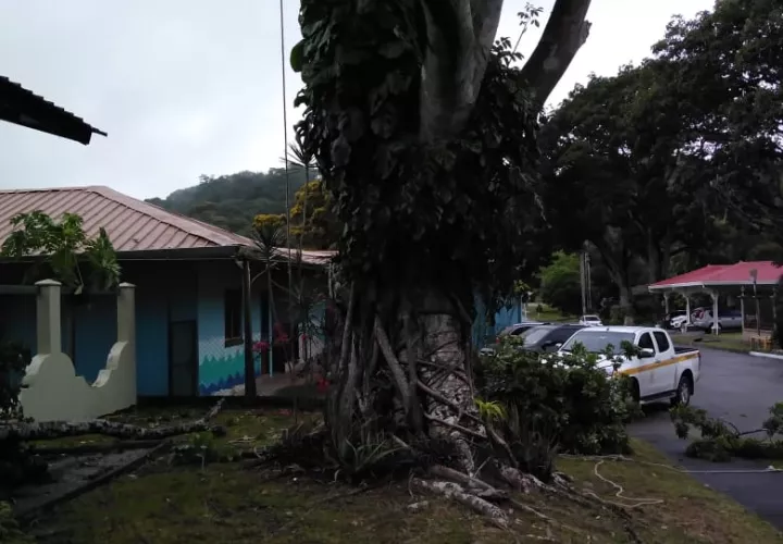 Se entregó boleta de citación a los implicados. 
