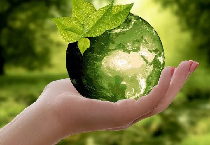 Actividad por la Tierra.  Pixabay