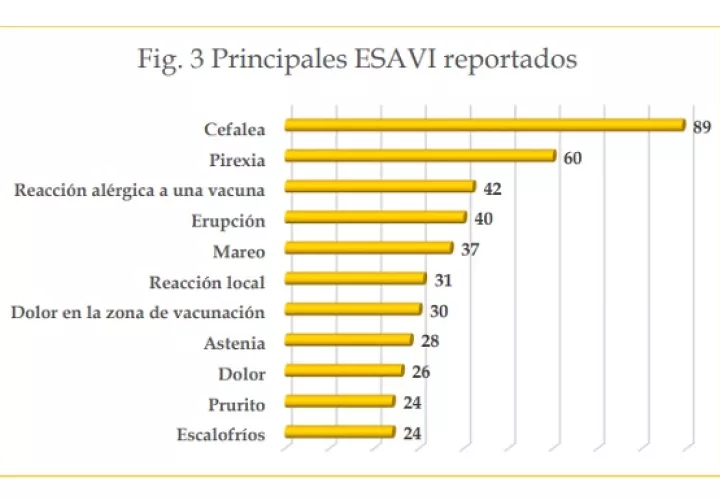 Principales síntomas reportados.