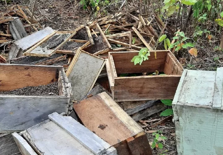 Utilizaron el insecticida ‘hormitox’ para acabar con las abejas de unas 19 colmenas.