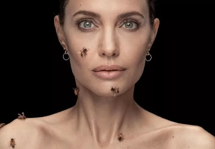 Angelina Jolie. Foto: Dan Winters 