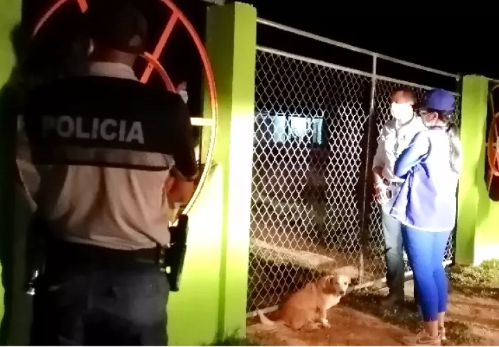 Los operativos a los comercios se mantendrán para hacer cumplir las disposiciones del Minsa. Foto: Thays Domínguez